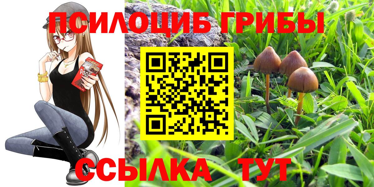 Галлюциногенные грибы ЛСД  Вход с VPN  Ачхой-Мартан  Псилоцибиновые грибы GOLDEN TEACHER 