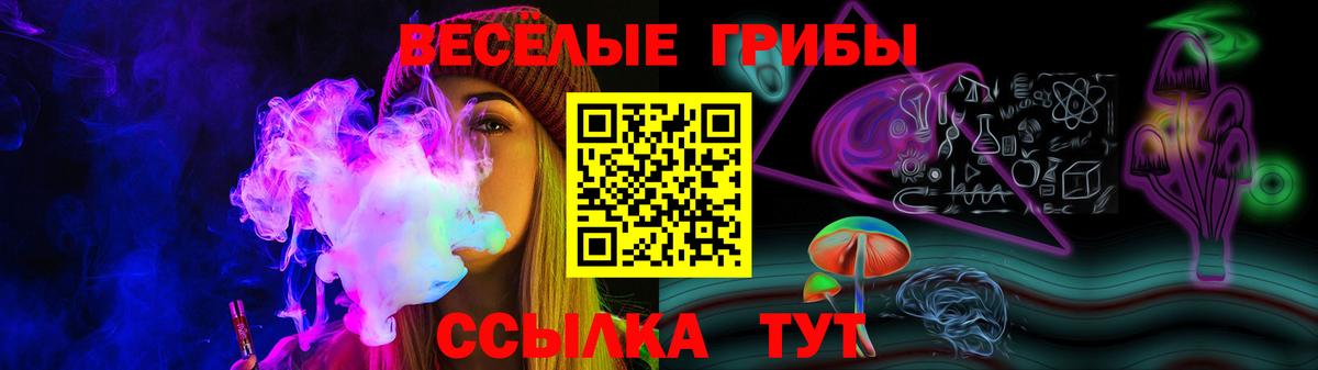 Галлюциногенные грибы Cubensis Ачхой-Мартан