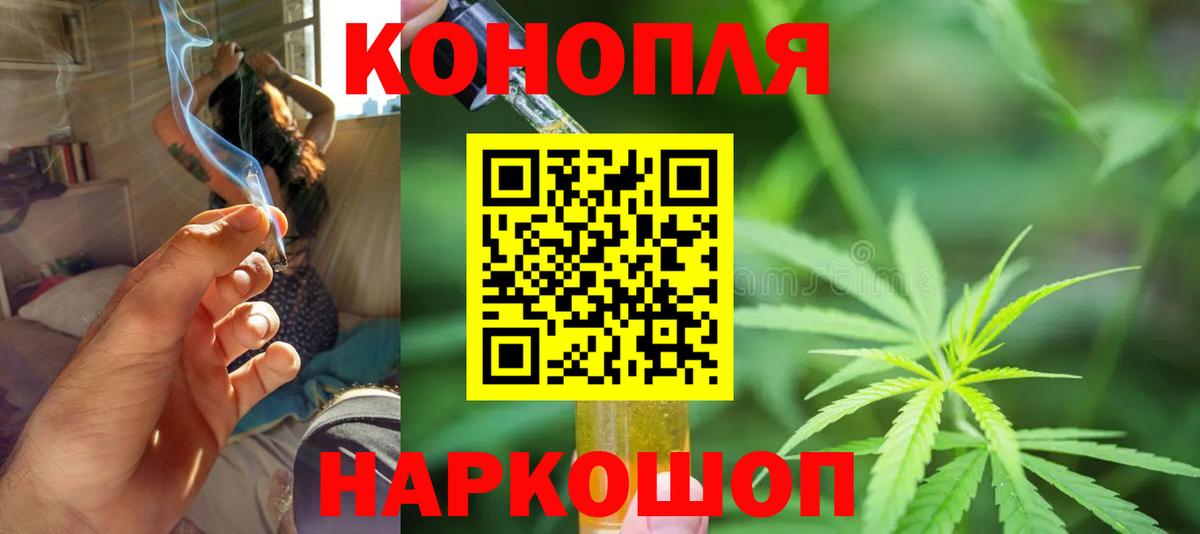 Каннабис индика Ачхой-Мартан